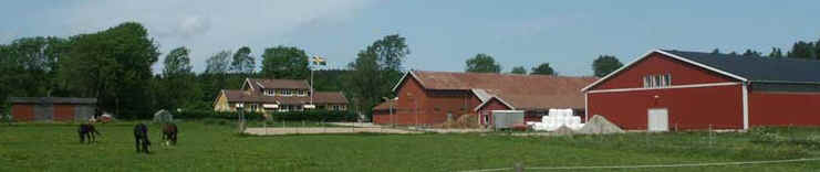 www.totorp.com
